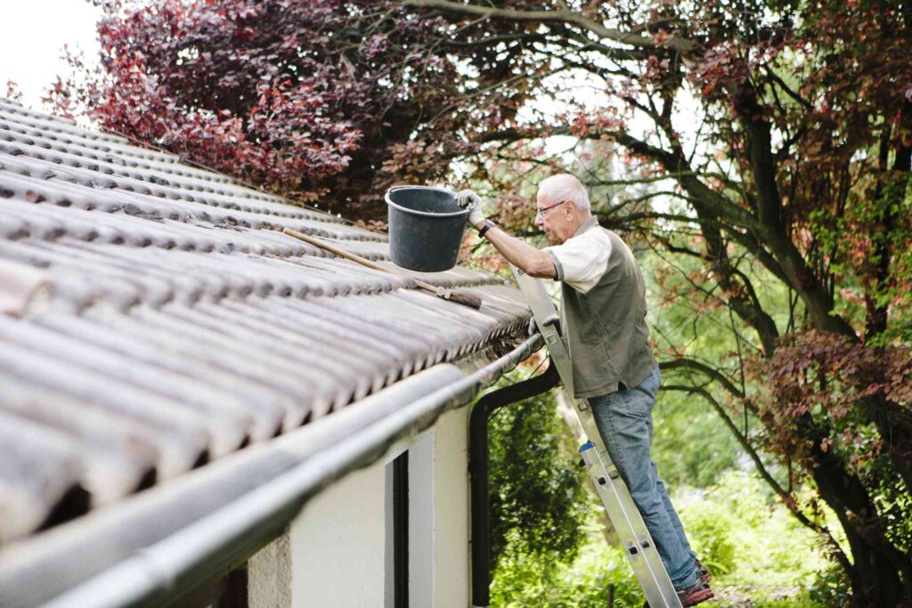 Why is it important to take care of your roof? 